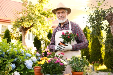 Photo of Portrait of elderly man in hat and apron with beautiful potted flowers in garden