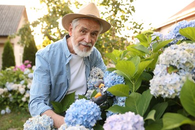 Photo of Portrait of elderly man in hat with secateurs in garden
