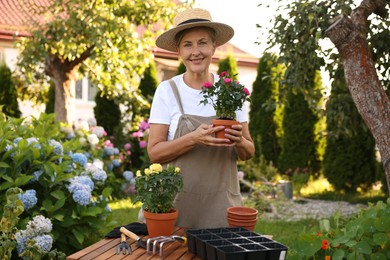 Photo of Portrait of smiling senior woman in hat and apron with beautiful potted flowers and gardening tools outdoors