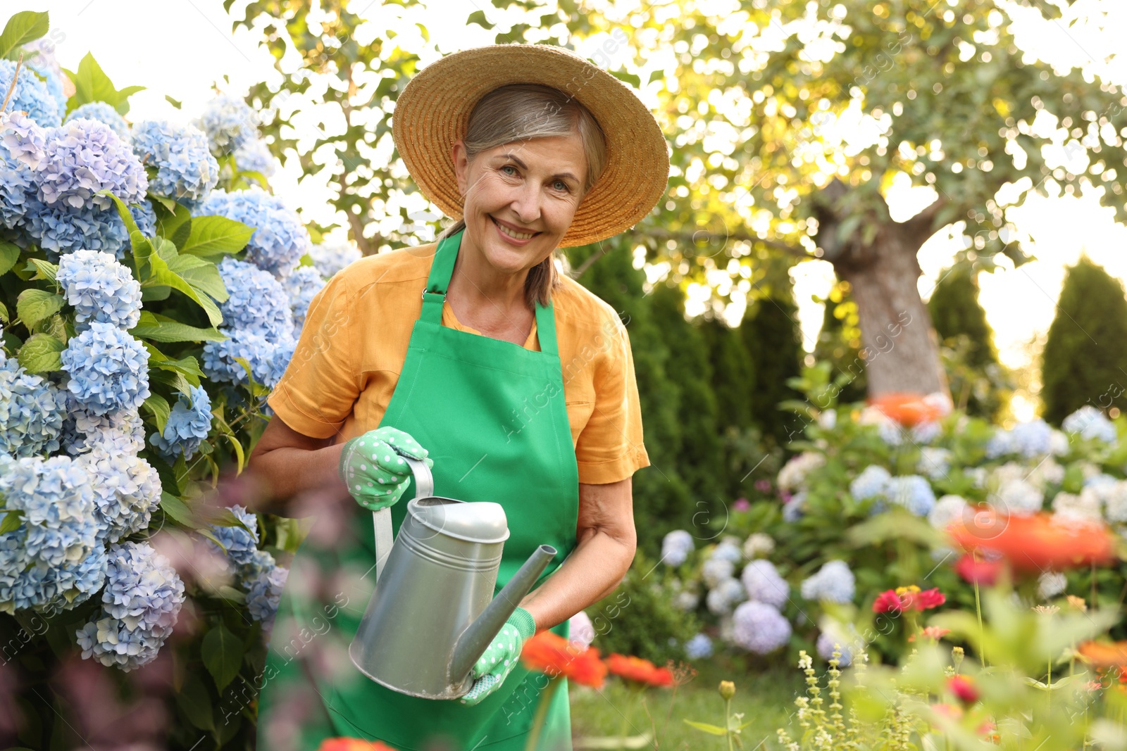 Photo of Smiling senior woman in hat and apron watering beautiful flowers with can in garden