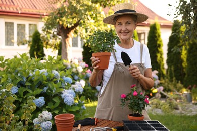 Photo of Smiling senior woman in hat and apron with beautiful potted roses in garden