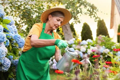 Photo of Senior woman in hat and apron watering beautiful flowers with can in garden