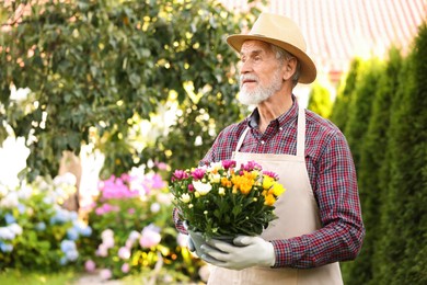 Photo of Elderly man in hat with potted flowers in garden. Space for text