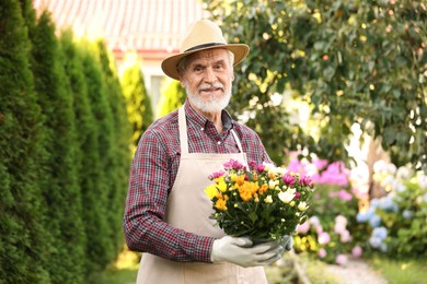 Photo of Portrait of elderly man in hat with potted flowers in garden