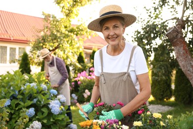 Photo of Senior couple in hats working with plants in garden, selective focus
