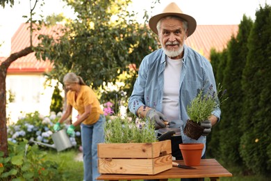Photo of Senior couple working with plants in garden, selective focus
