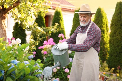 Photo of Elderly man in hat and apron watering beautiful flowers with can in garden