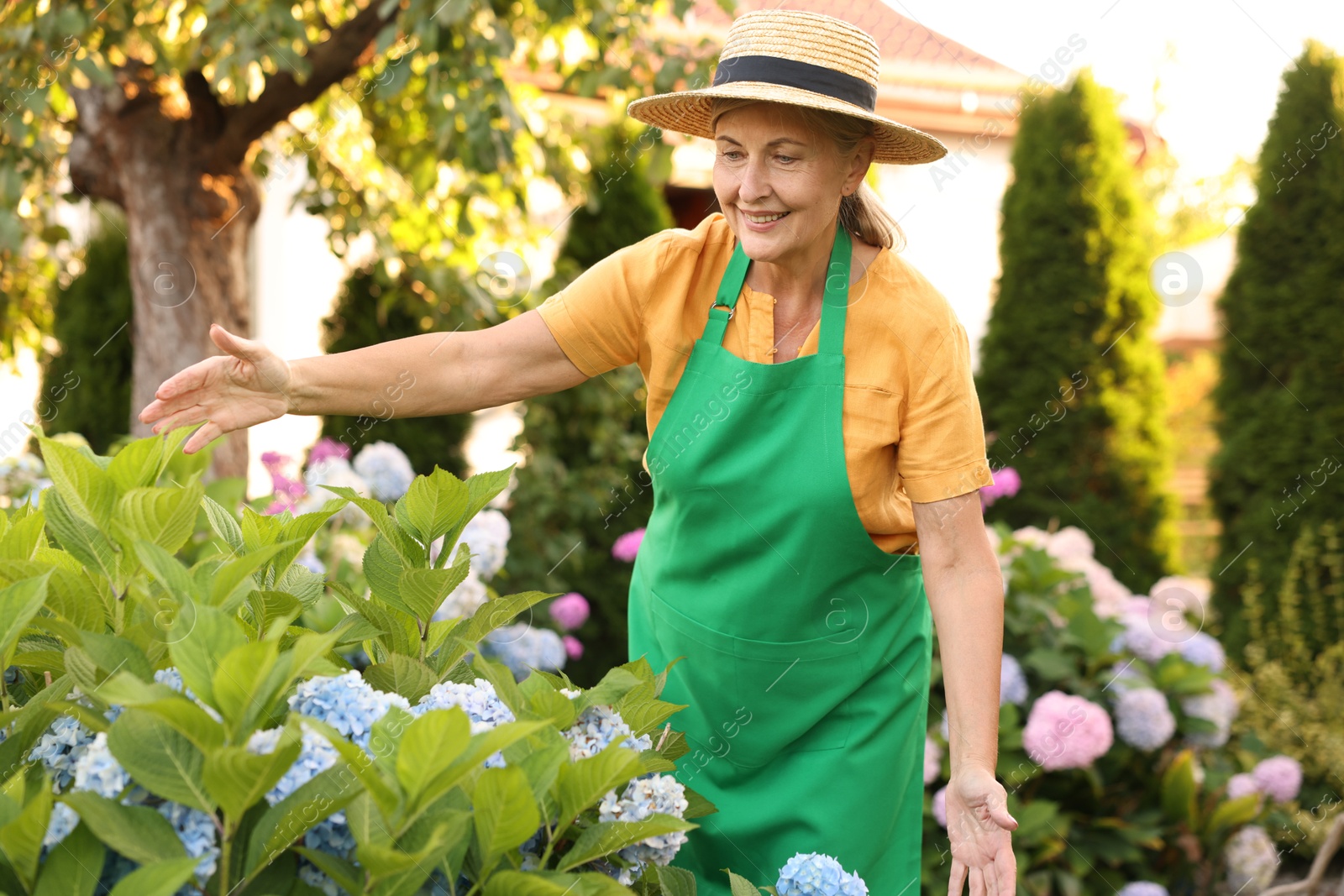 Photo of Smiling senior woman in hat and apron with flowers in garden