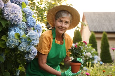 Photo of Portrait of senior woman in hat, gloves and apron with flowers in garden