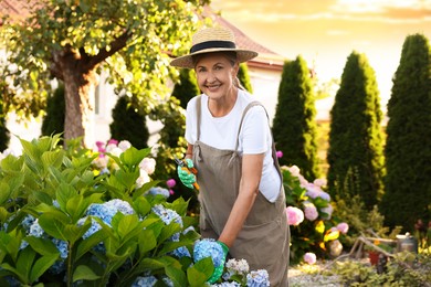 Photo of Portrait of smiling senior woman in hat and apron with secateurs and flowers in garden