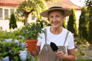 Photo of Portrait of smiling senior woman in hat and apron with potted roses and shovel in garden