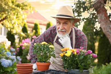 Photo of Portrait of elderly man in hat and apron with potted flowers in garden
