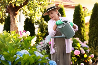 Photo of Senior woman in hat watering beautiful flowers with can in garden