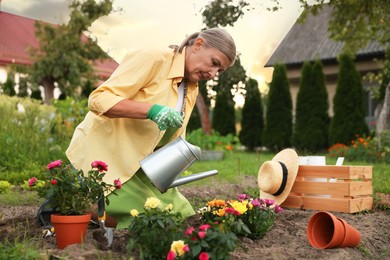 Photo of Senior woman watering beautiful flowers with can in garden