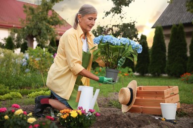 Photo of Senior woman in apron with potted flowers in garden