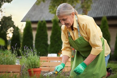 Photo of Smiling senior woman in gloves and apron working with plants and digging fork in garden