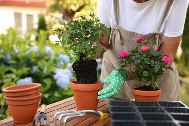 Photo of Senior woman in apron transplanting beautiful flowers at table in garden, closeup
