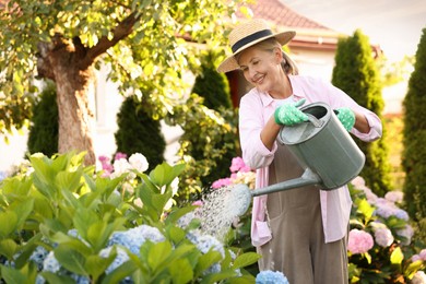Photo of Smiling senior woman in hat and apron watering beautiful flowers with can in garden