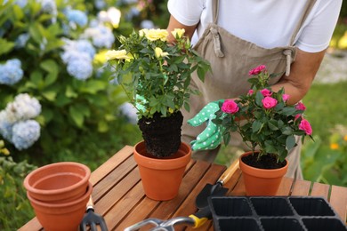 Photo of Senior woman in apron transplanting beautiful flowers at table in garden, closeup