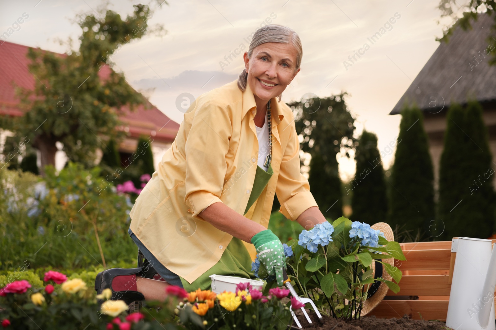Smiling senior woman in gloves and apron working with plants and digging fork in garden Photo of Smiling senior woman in gloves and apron working with plants and digging fork in garden