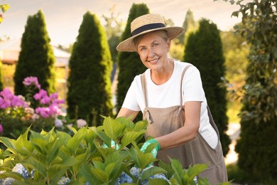 Photo of Portrait of smiling senior woman in hat and apron with flowers in garden