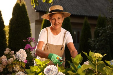 Photo of Portrait of smiling senior woman in hat, gloves and apron working with plants and secateurs in garden