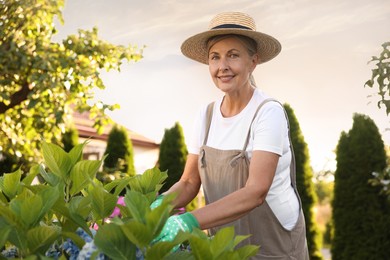 Photo of Portrait of smiling senior woman in hat and apron with flowers in garden