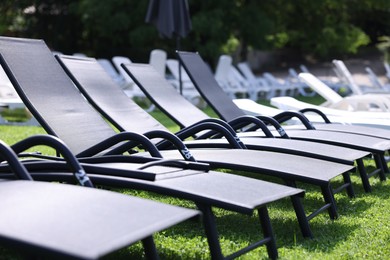 Photo of Many sunbeds on green grass outdoors, closeup