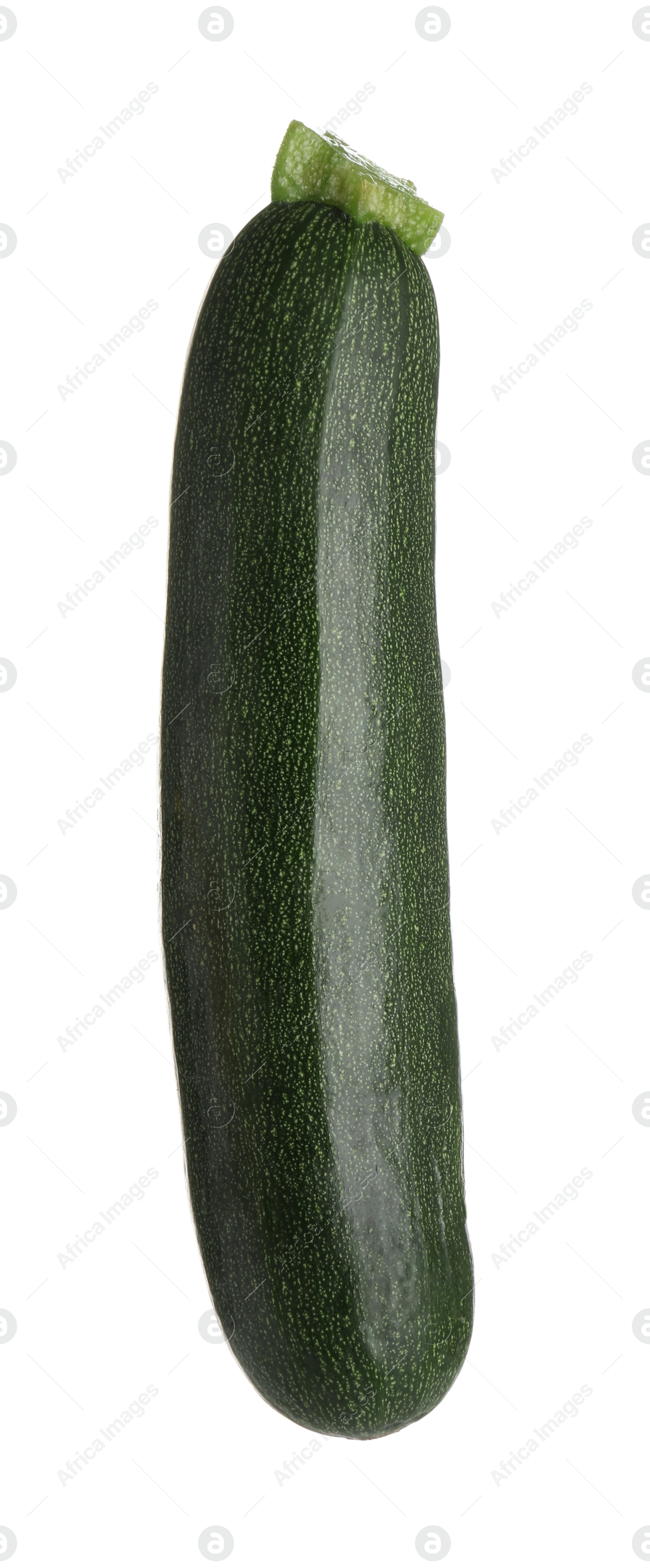 Photo of One fresh ripe zucchini isolated on white