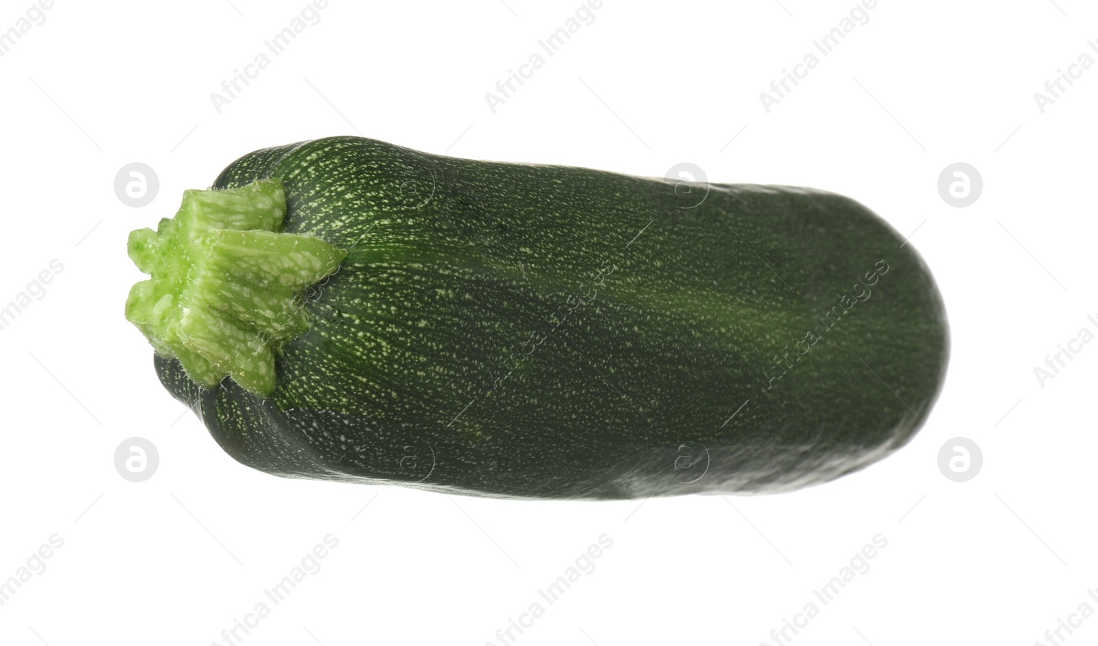 Photo of One fresh ripe zucchini isolated on white