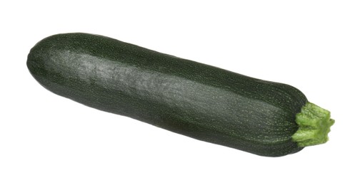 Photo of One fresh ripe zucchini isolated on white