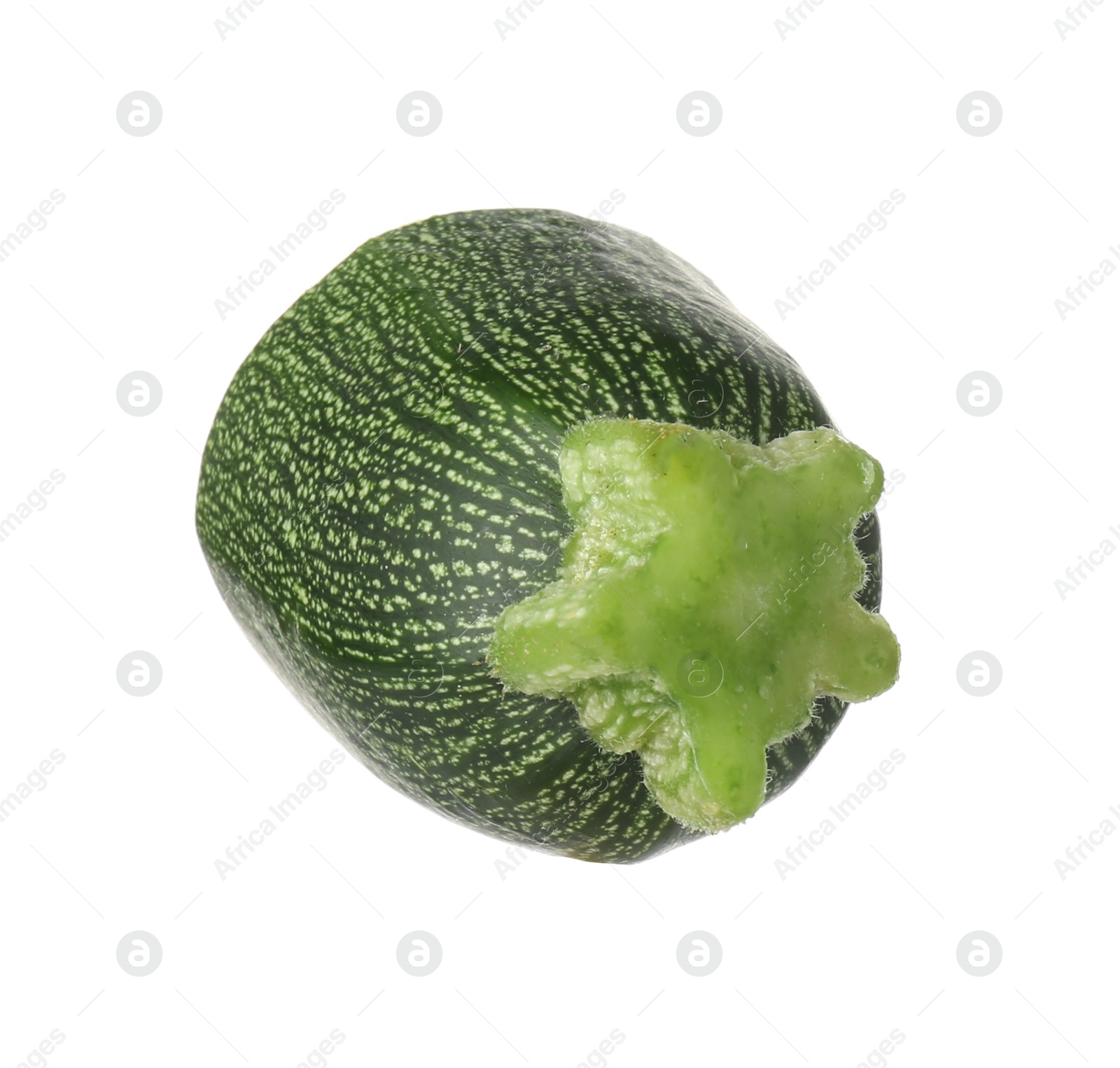 Photo of Piece of fresh ripe zucchini isolated on white