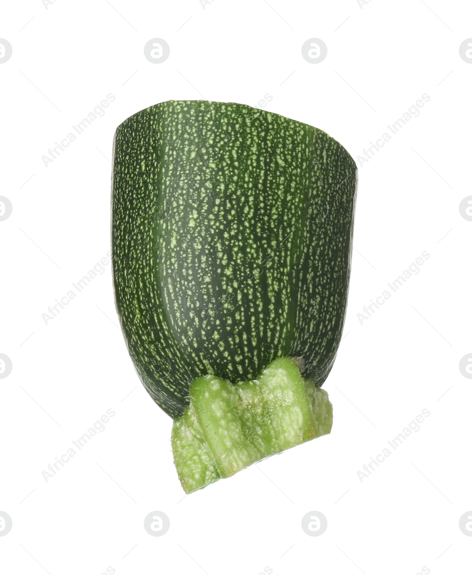Photo of Piece of fresh ripe zucchini isolated on white