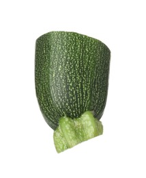 Photo of Piece of fresh ripe zucchini isolated on white