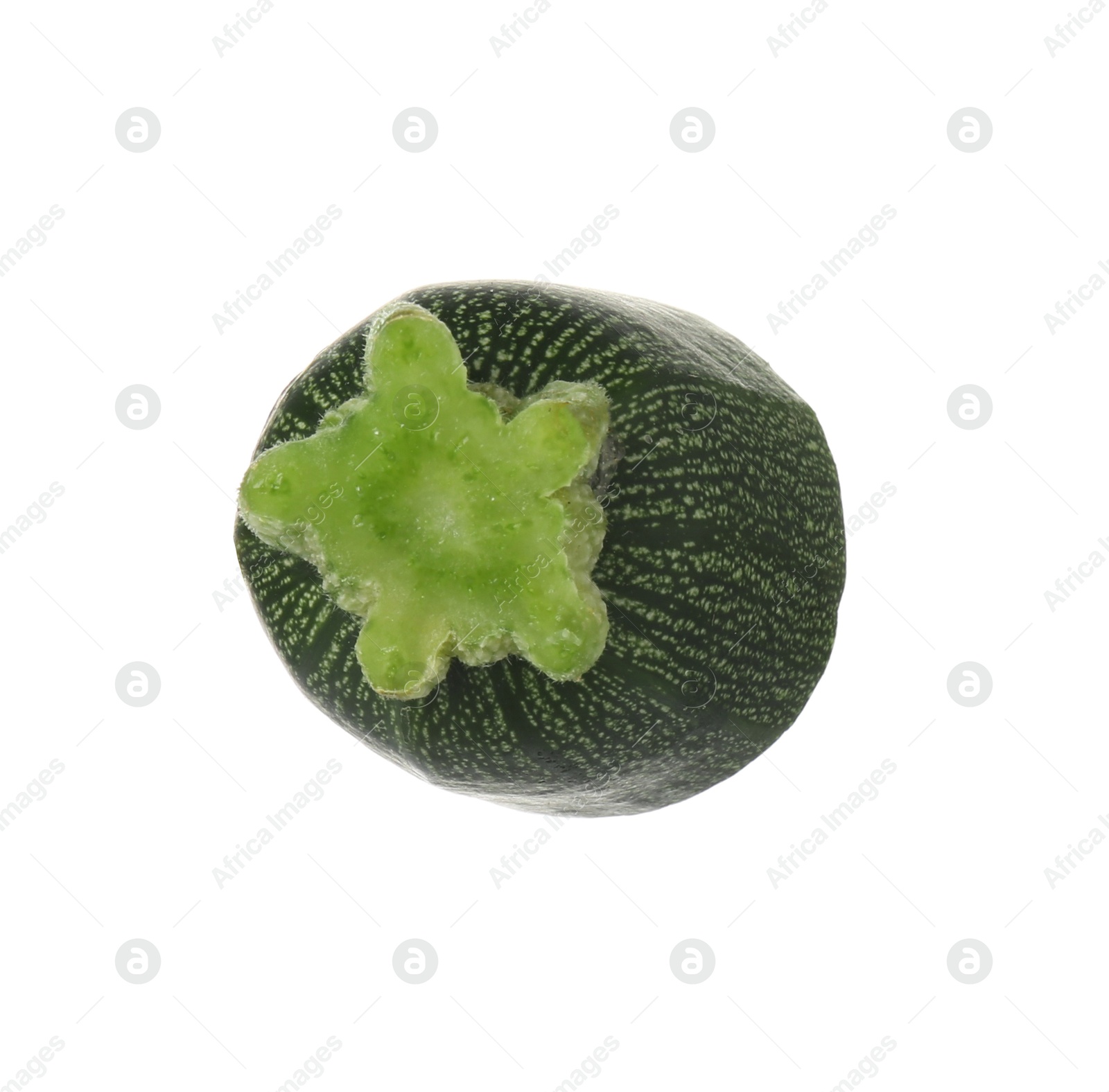 Photo of Piece of fresh ripe zucchini isolated on white