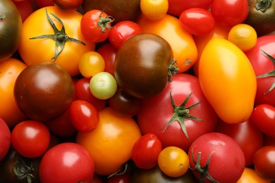 Photo of Different ripe juicy tomatoes as background, closeup