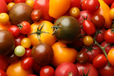 Photo of Different ripe juicy tomatoes as background, closeup