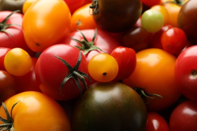 Photo of Different ripe juicy tomatoes as background, closeup