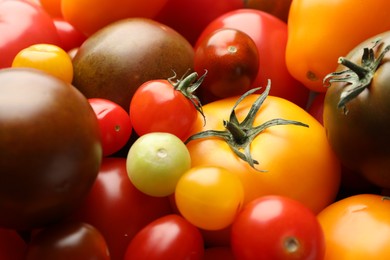 Photo of Different ripe juicy tomatoes as background, closeup