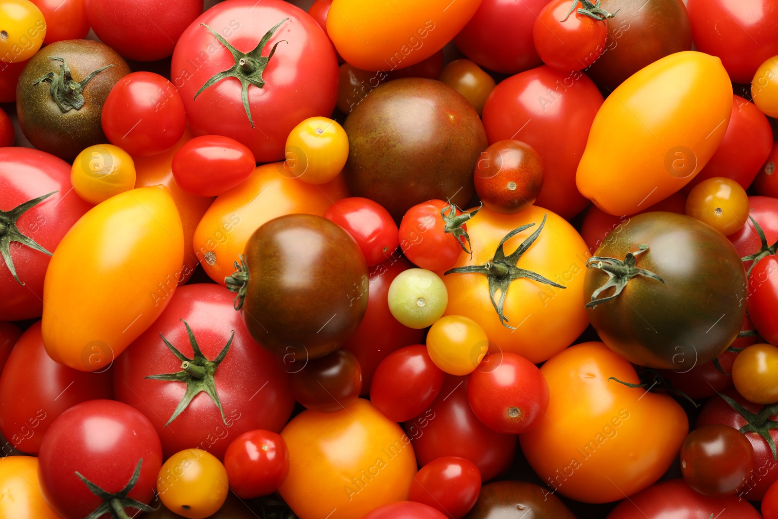 Photo of Different ripe juicy tomatoes as background, closeup