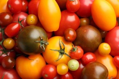 Photo of Different ripe juicy tomatoes as background, closeup