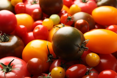 Photo of Different ripe juicy tomatoes as background, closeup