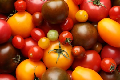 Photo of Different ripe juicy tomatoes as background, closeup