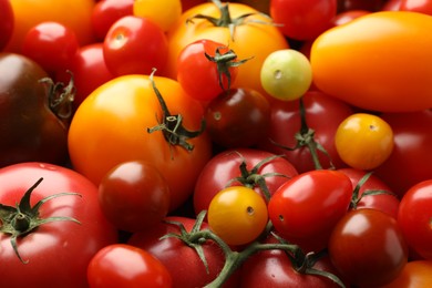 Photo of Different ripe juicy tomatoes as background, closeup