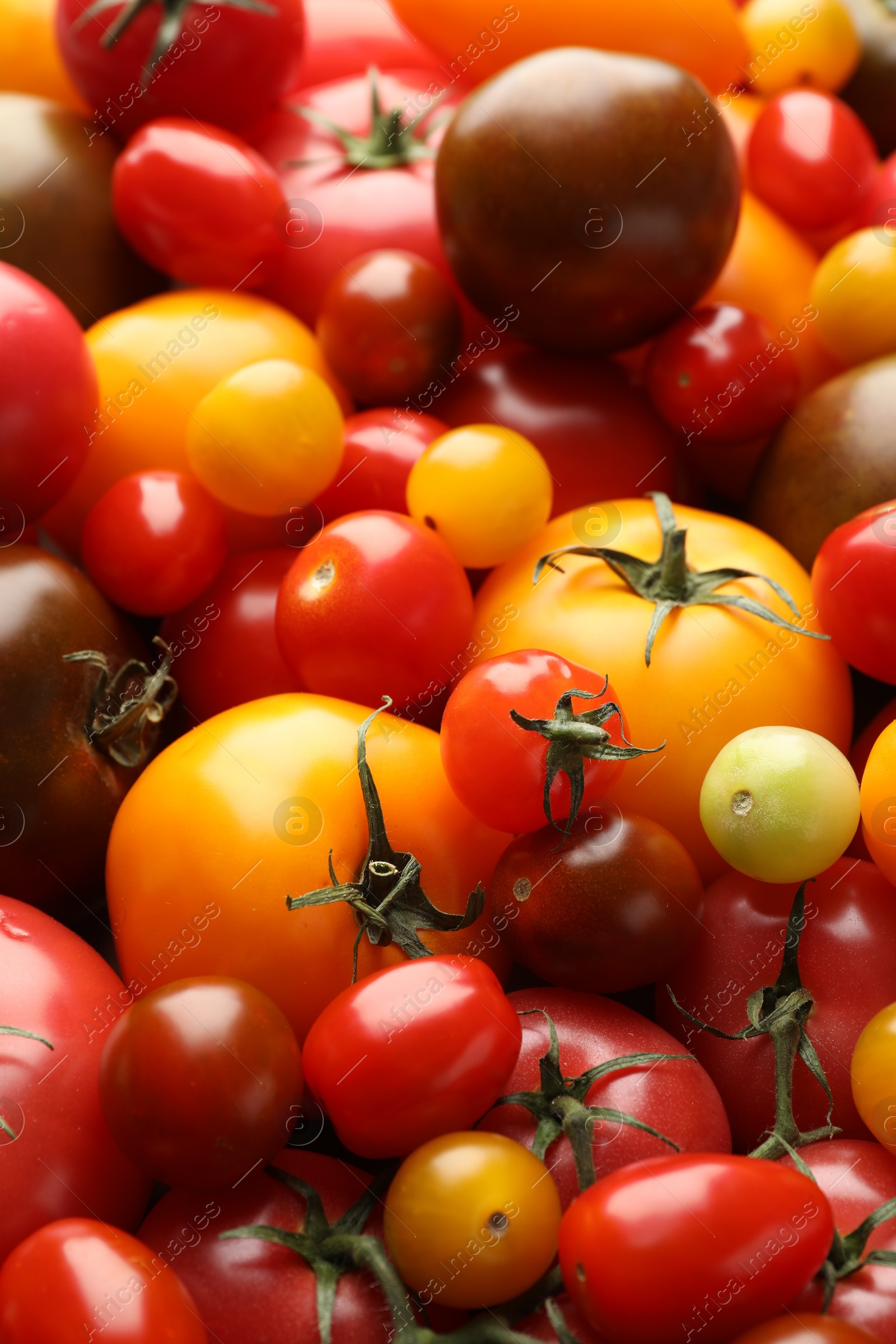 Photo of Different ripe juicy tomatoes as background, closeup