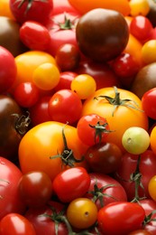 Photo of Different ripe juicy tomatoes as background, closeup