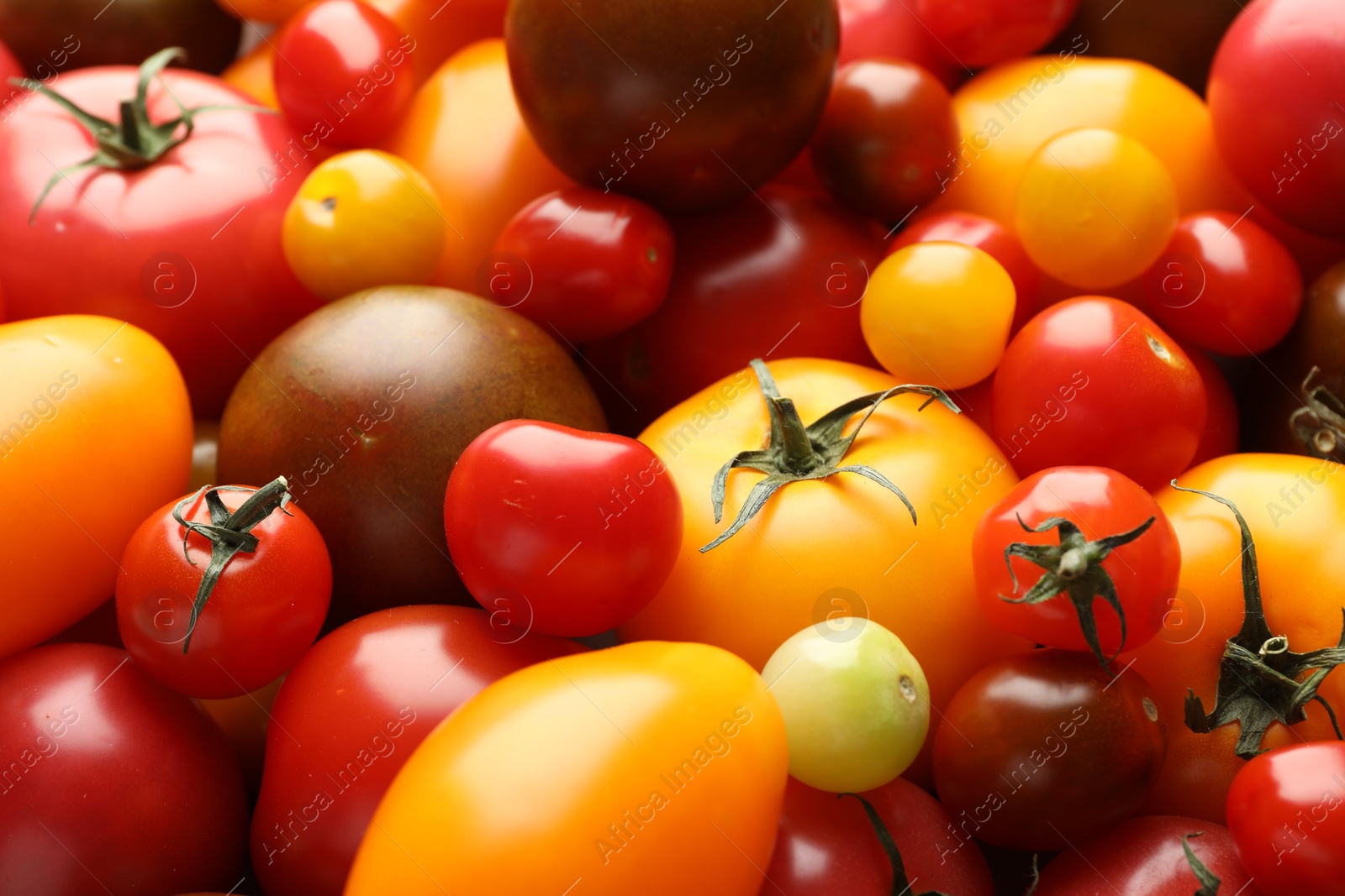 Photo of Different ripe juicy tomatoes as background, closeup