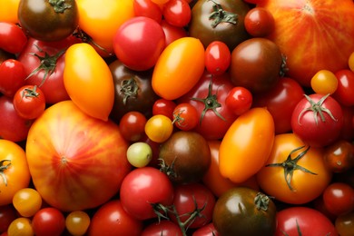Photo of Different ripe juicy tomatoes as background, closeup