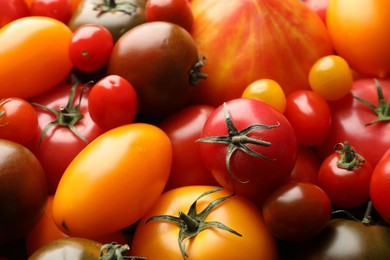 Photo of Different ripe juicy tomatoes as background, closeup