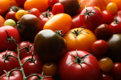 Photo of Different ripe juicy tomatoes as background, closeup